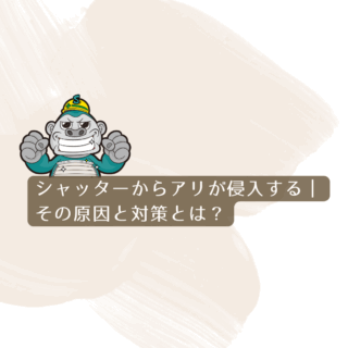 大雨の翌日、シャッターからアリが侵入？意外な原因と対策とは